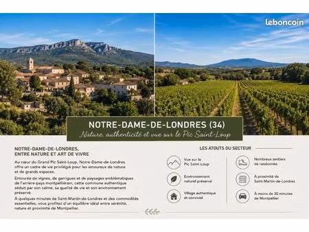 terrain 305 m² notre dame de londres