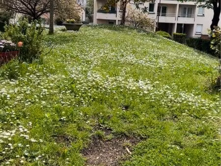 appartement f2 bezons