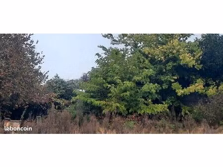 terrain 1 200 m² gujan mestras