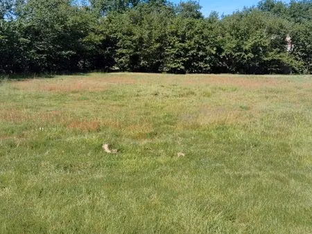 terrain constructible