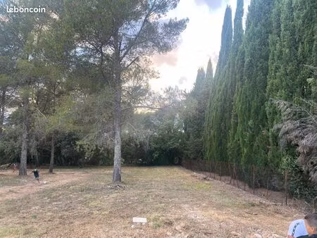 vente terrain montferrier