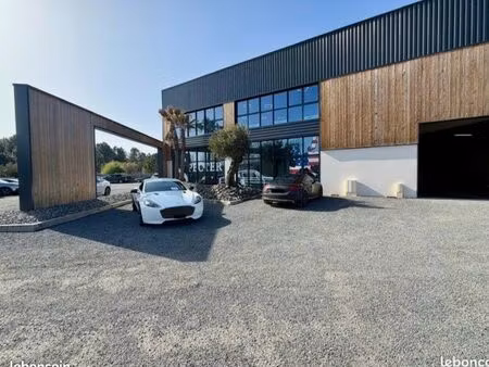 local d’activité neuf – 278 m² – showroom – façade vitrée – accès pl – disponible