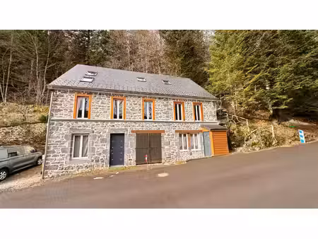 maison de caractère à fort potentiel mont dore 9 pièce(s) 224 m2
