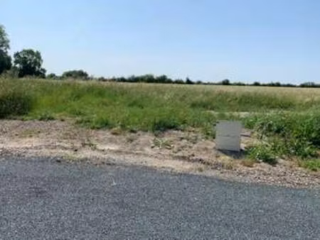 vente terrain à grues (85580) : à vendre / grues