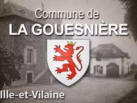 vente terrain à la gouesnière (35350) : à vendre / 347m² la gouesnière