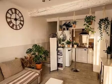 maison de village 3 pièces 53 m²