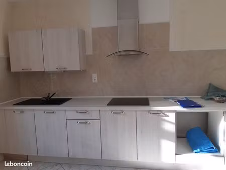 location maison 160m2 +jardin labruguiere