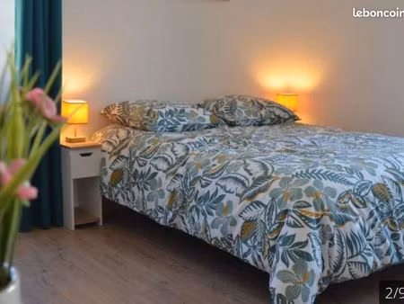 maison une pièce 20m2