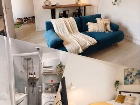 appartement t2 meublé de 40 m² avec terrasse – cœur de ville de chinon