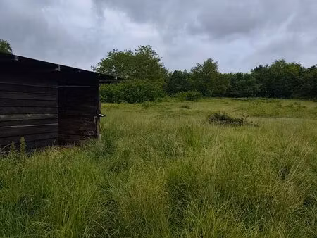 location pré animaux
