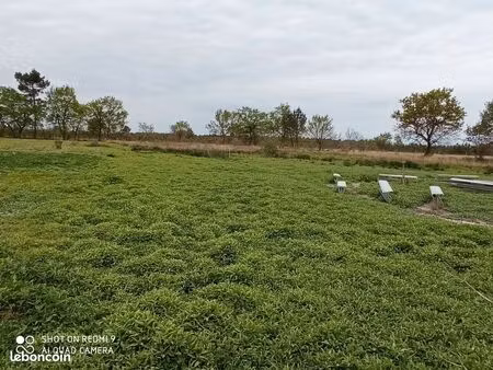 terrain agricole 4.5ha + bâtiment 765m2