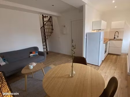 appartement en duplex moderne et lumineux