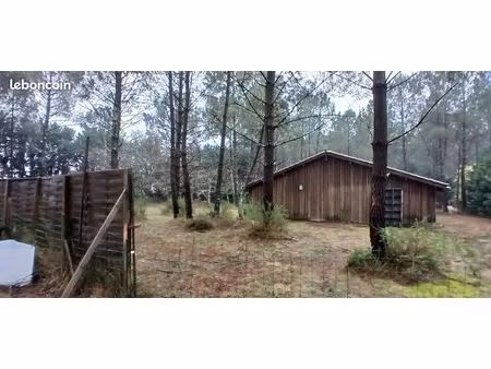 grande grange en bois soustons