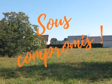 terrain 2 190 m² muides sur loire
