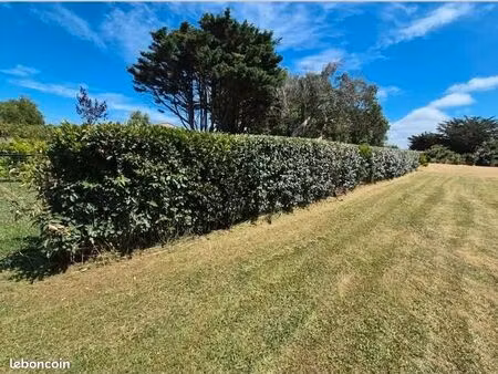 terrain 945 m² la plaine sur mer