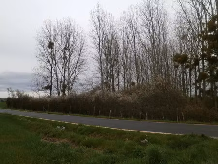 location locaux professionnels 0 pièces 2370 m² à saint-georges-sur-la-pree (18100)  150 €
