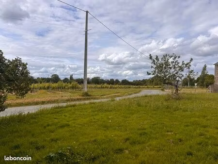 terrains à vendre faye d’anjou
