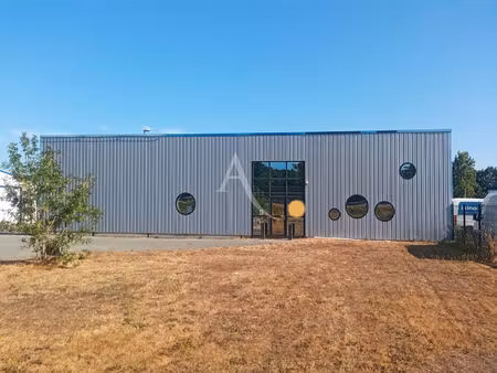 a pont habert sallertaine  a louer local commercial 174 m²