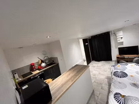 appartement studio saint-ciers-sur-gironde - 20 m2 - 525 euros ttc