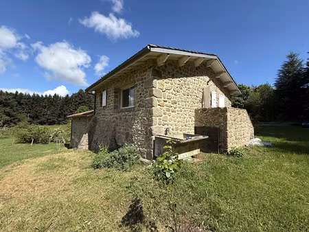maison en pierre rénovée de 44 m2 avec terrain et dépendance
