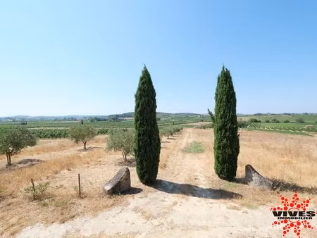 terrain agricole