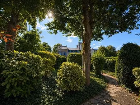 maison de maître avec 5 chambres et jardin  idéale pour pro