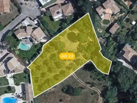 terrain avec oliviers