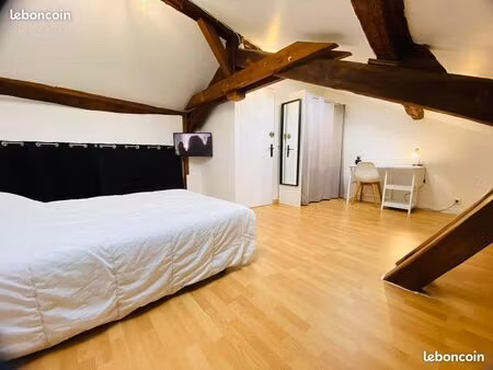 ◊ location – appartement de caractère – centre-ville d’agen – 163 m²