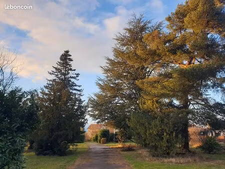 joli terrain arboré d'une superficie de 2600 m² à 10km de saint-étienne