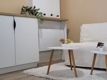 t1 bis meublé rénové