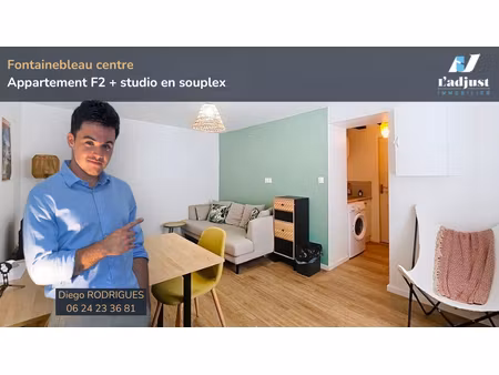 fontainebleau centre f2 + studio entièrement rénovés