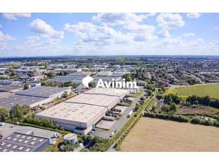 location entrepôt neuville en ferrain 59960 4300m² à 8600m²
