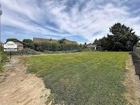 terrain