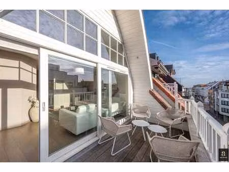 appartement duplex lumineux et spacieux avec terrasse