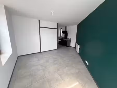 appartement aubigny sur nere 3 pièce(s) 47.26 m2