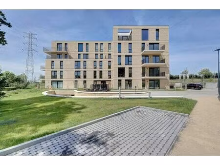 appartement à louer à moederplein 12 lier (rbw48667)
