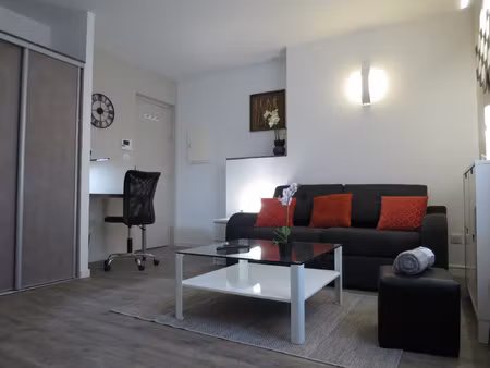 appartement tours centre meuble