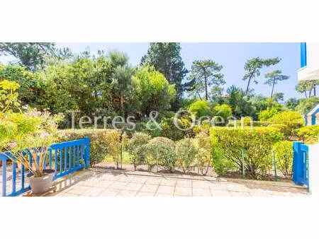 appartement avec terrasse soorts-hossegor (40)