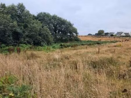 vente terrain à lannilis (29870) : à vendre / lannilis