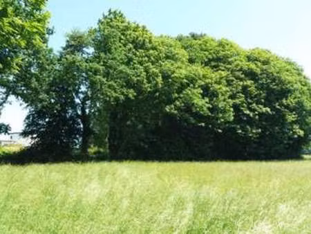 vente terrain à lamballe (22400) : à vendre / lamballe
