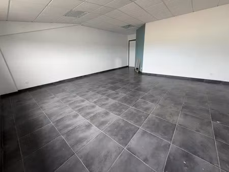 location locaux professionnels à ducos (97224)  740 €
