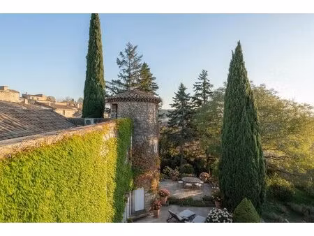 demeure exceptionnelle au coeur d'un village pittoresque du vaucluse