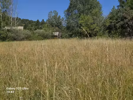 terrain plat de plus de 1000 m2 dans un havre de paix
