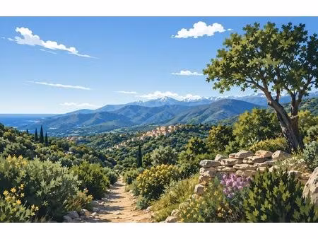 achat terrain 20 008m² sorede 66690