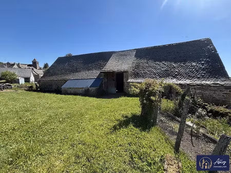 vente ferme 2 pièces 493 m² à trizac (15400)  60 000 €