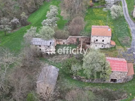 vente ferme 3 pièces 80 m² à monistrol-d'allier (43580)  77 000 €
