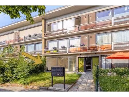 appartement te huur in wilrijk met 2 slaapkamers