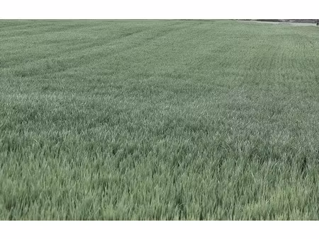 dange saint romain (86220) - terrain à vendre de 25 445 00 m²