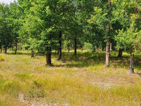 achat terrain 725m²
