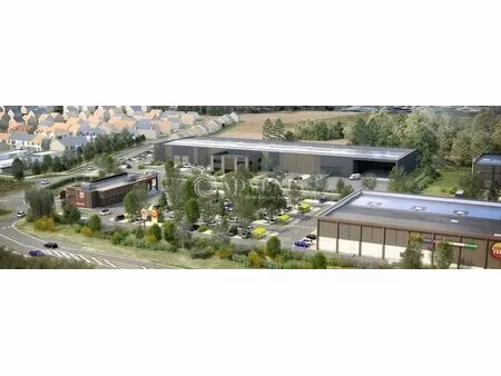 vente local d’activités survilliers 95470 2990m² à 11851m²